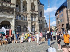 Soutěžící se svými vodicími psy stojí v řadě před libereckou radnicí - předávání cen