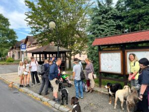 Členové SONS a klienti TC s vodicími psy na autobusové zastávce